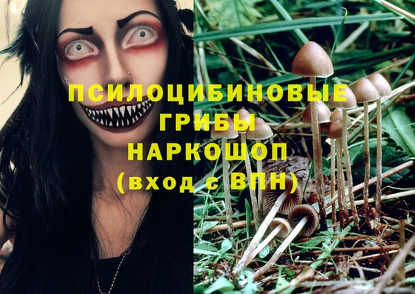 PSILOCYBIN Алзамай